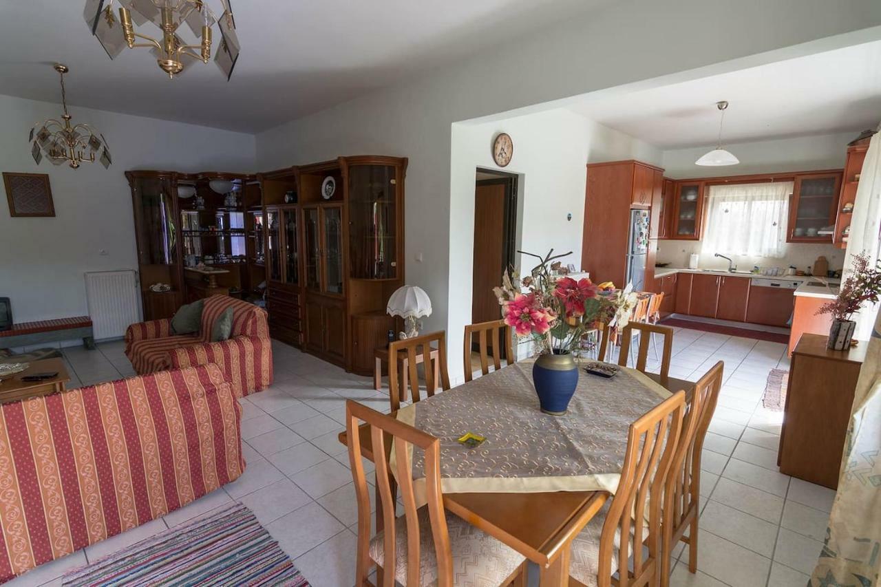 Big Family House In Mesochoria Village Extérieur photo