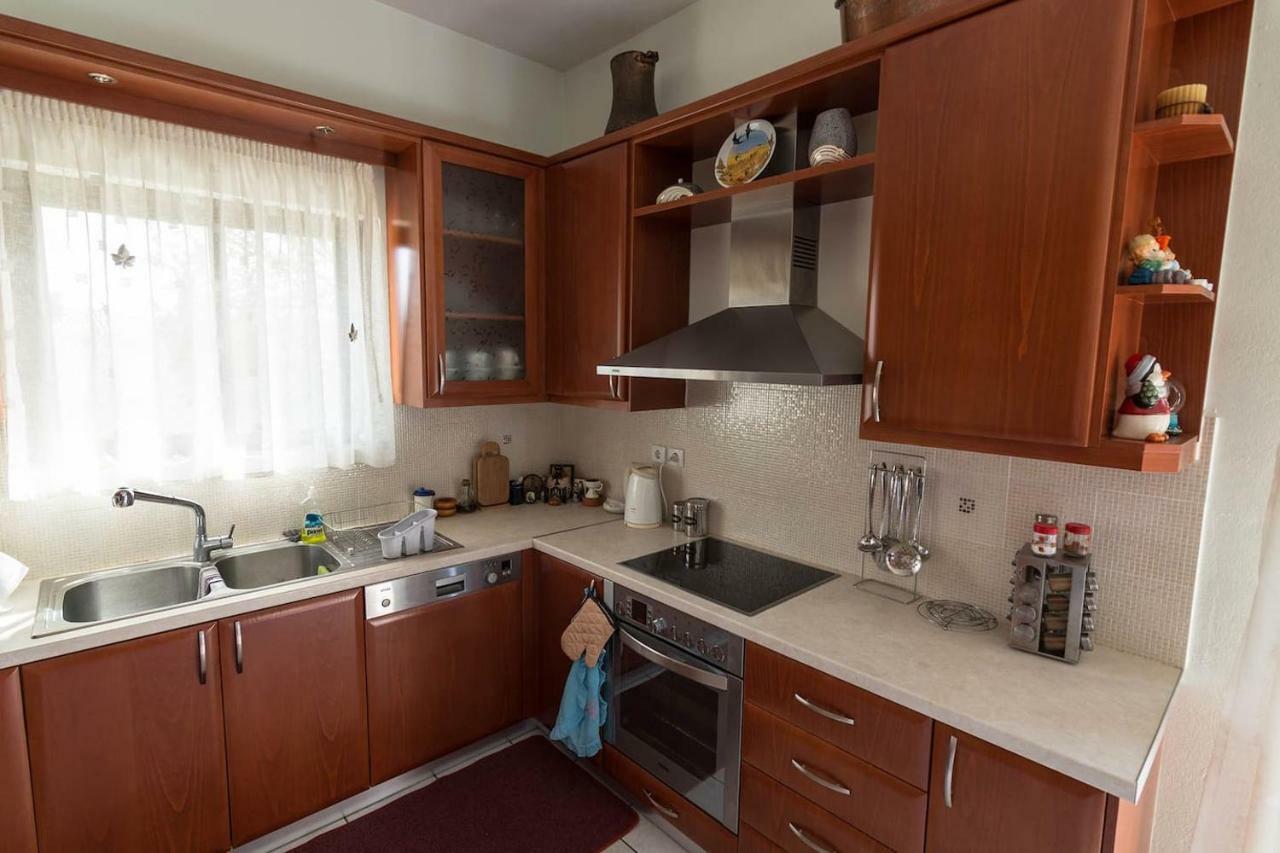 Big Family House In Mesochoria Village Extérieur photo