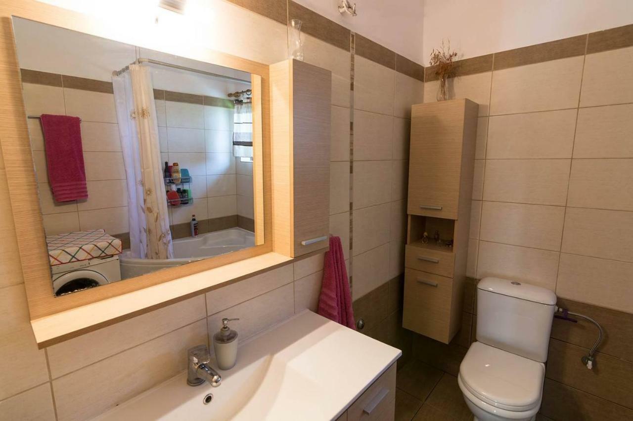 Big Family House In Mesochoria Village Extérieur photo