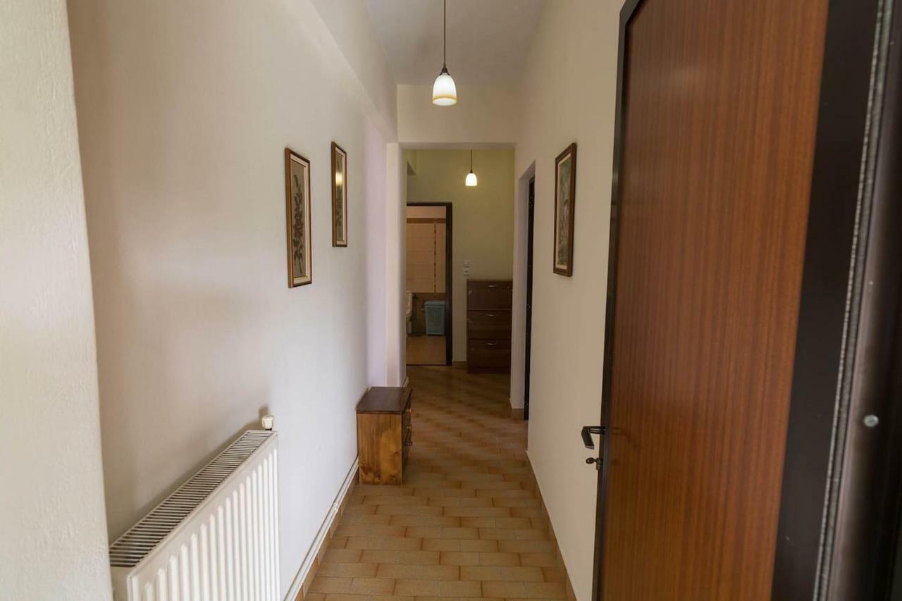 Big Family House In Mesochoria Village Extérieur photo