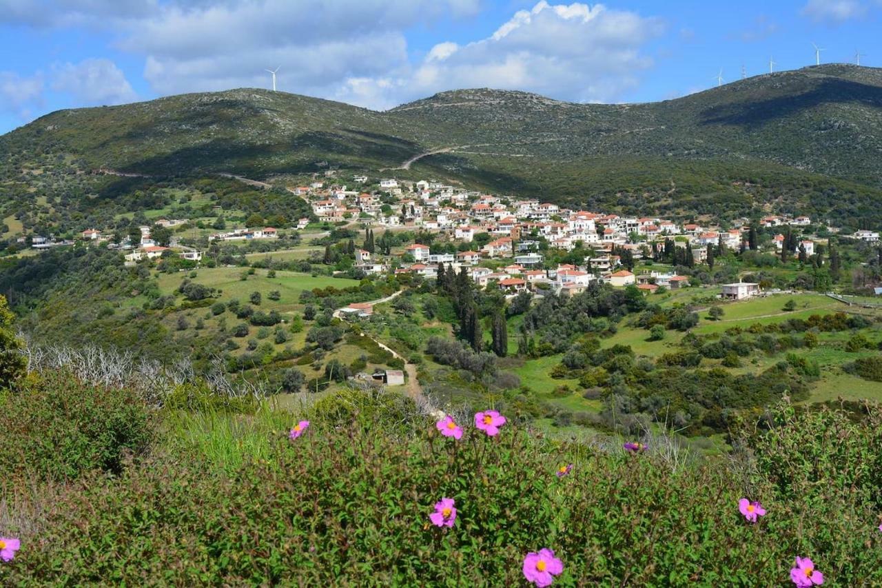 Big Family House In Mesochoria Village Extérieur photo