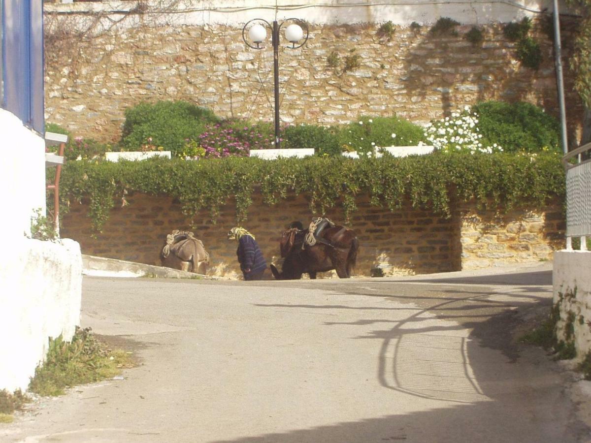 Big Family House In Mesochoria Village Extérieur photo